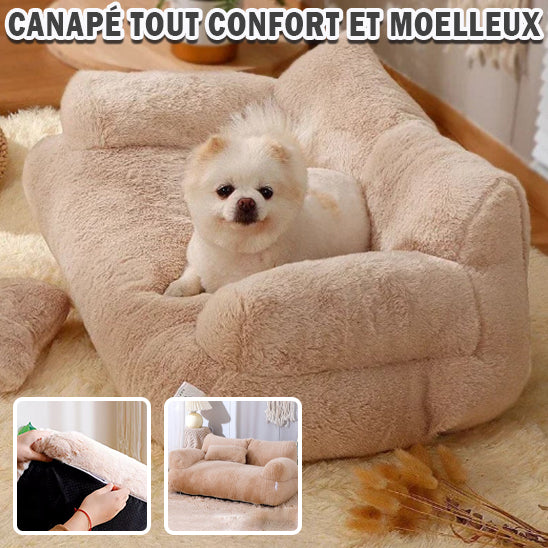 Canapé Chien | miniature dog