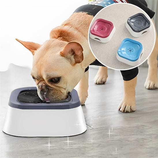 Gamelle pour Chien Anti-Ăclaboussures | topleasuredog