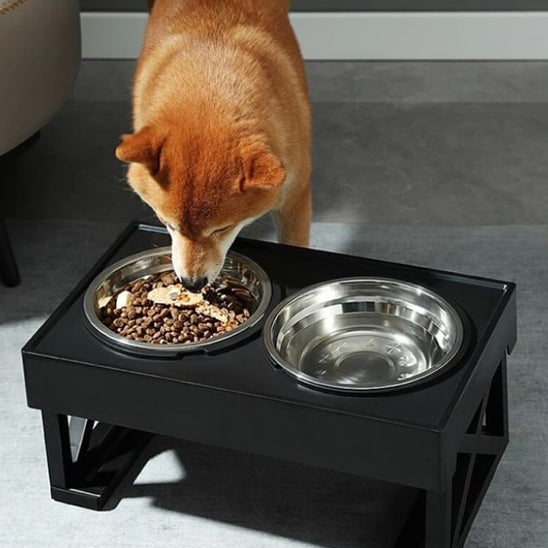 Gamelle pour Chien avec Support ABS | AUP