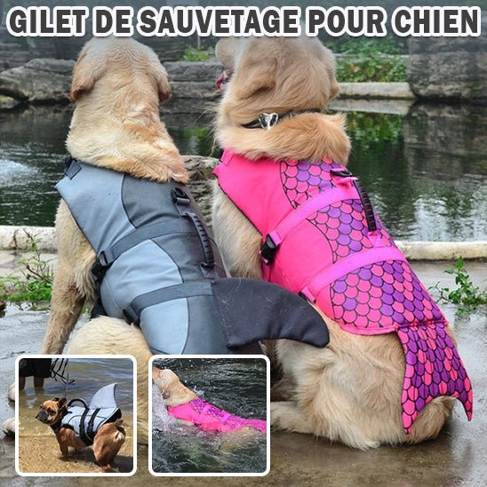 Gilet de Sauvetage pour Chien|La Sécurité Aquatique pour votre toutou