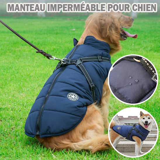 Harnais pour Chien Manteau | impermeable