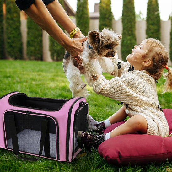 Sac de Transport pour Chien et Chiot | topleasuredog
