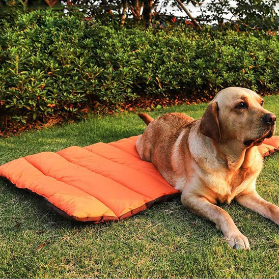 Tapis pour chien imperméable | topleasuredog
