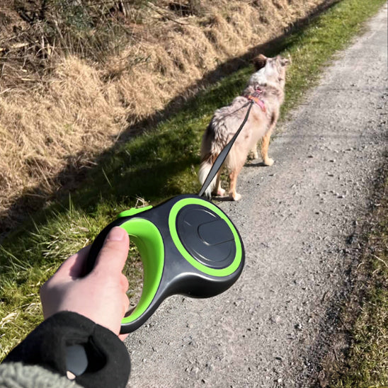 Laisse pour chien rétractable | topleasuredog
