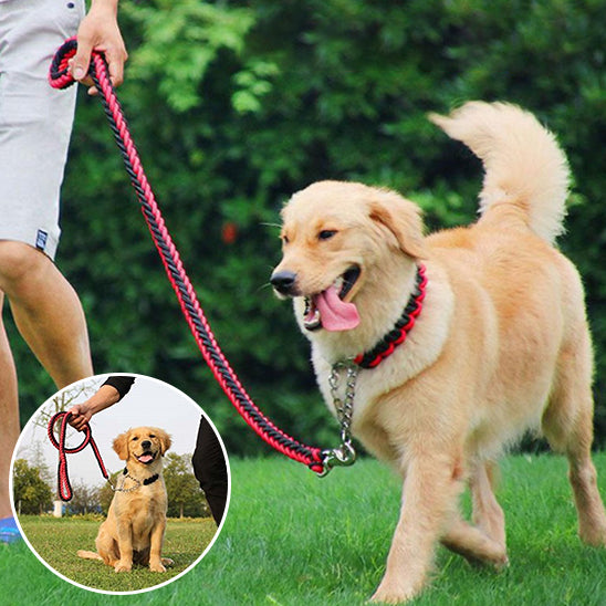 Laisse pour Chien Ultime | AUP
