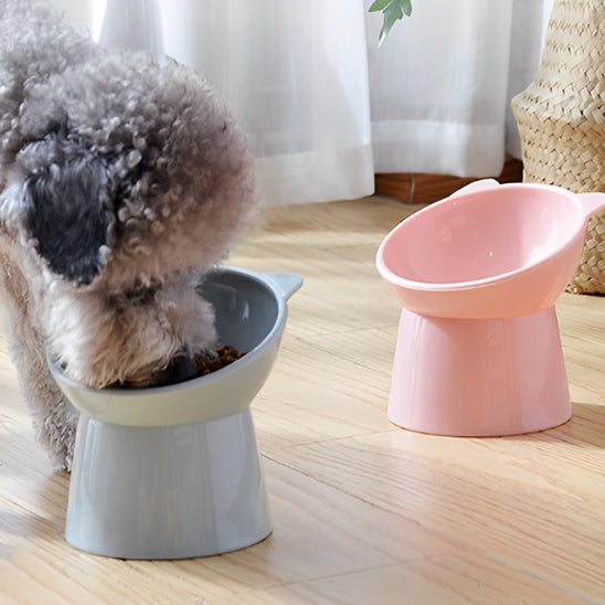 Gamelle pour Chien Inclinée | AUP