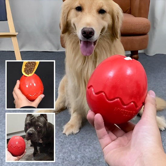 Jouet pour Chien Interactif | topleasuredog