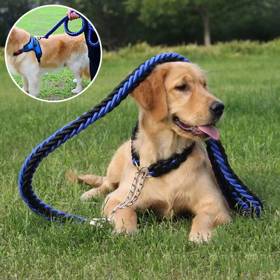 Laisse pour Chien Ultime | AUP