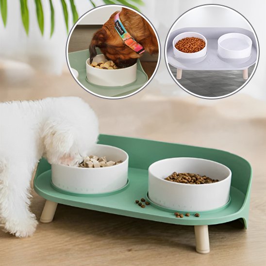 Gamelle chien | Ergonomique Antidérapante
