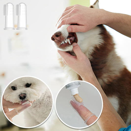 La Brosse à Dent pour Chien|L'Accessoire Indispensable pour Votre Compagnon