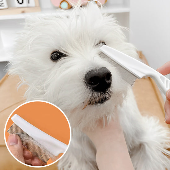 La Brosse pour Chien Anti-Puces  |  AUP