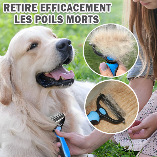 La Brosse pour Poil Long Chien : L'Outil Indispensable pour un Toilettage Parfai