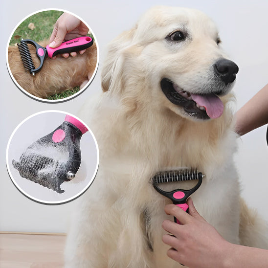 La Brosse pour Poil Long Chien : L'Outil Indispensable pour un Toilettage Parfai