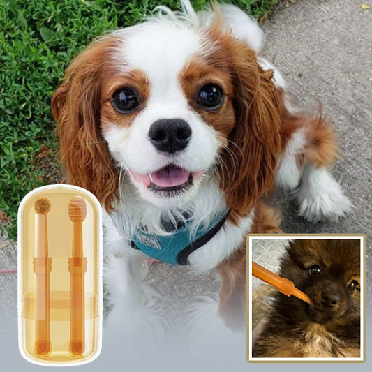 Brosse pour Chien à Dents  | topleasuredog