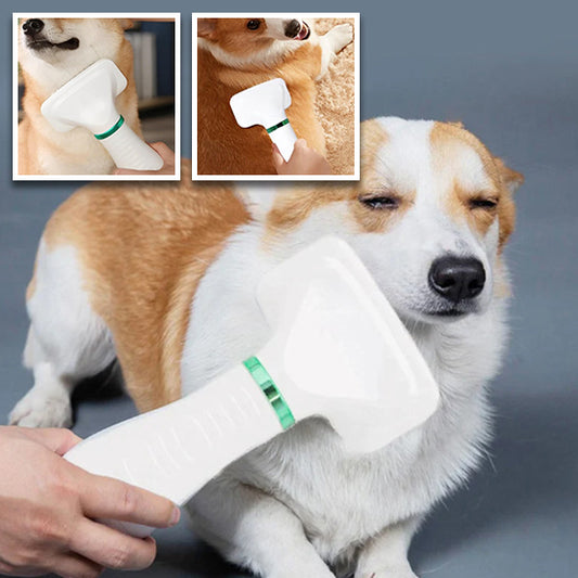 Brosse pour chien multifonction 2 en 1  | electric brush