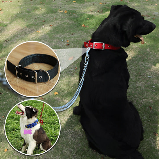 Colliers pour Chiens|soloide en nylon