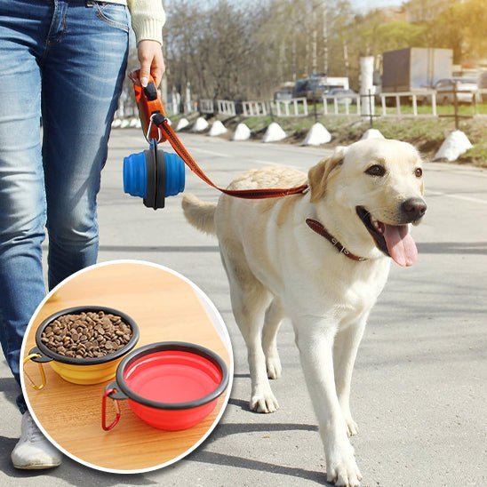 Gamelle pour Chien Transportable | topleasuredog