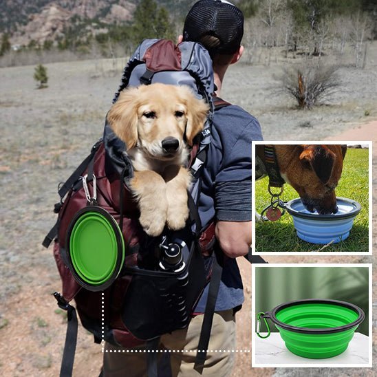 Gamelle pour Chien Transportable | topleasuredog