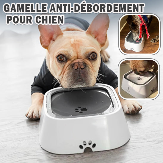 Gamelle pour Chien Anti Éclaboussure |