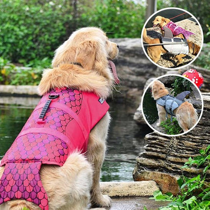 Gilet de Sauvetage pour Chien|La Sécurité Aquatique pour votre toutou