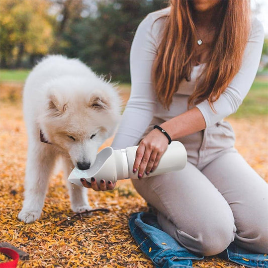 Gourde pour Chien pliable |topleasuredog
