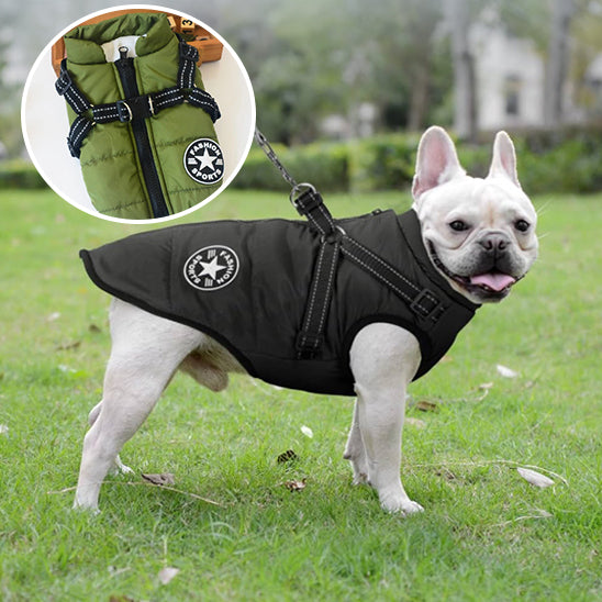 Harnais Chien Manteau | impermeable