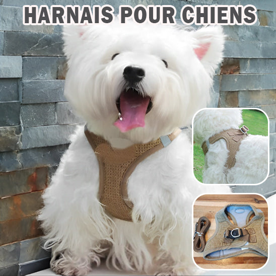 Harnais Petit Chien|Confort parfait pour les petit chien et chiot