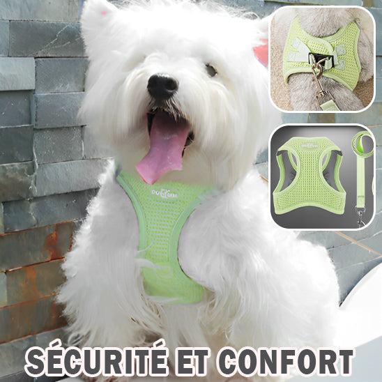 Harnais Petit Chien|Confort parfait pour les petit chien et chiot