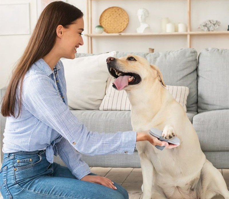 Lime à ongle souple chien| topleasuredog
