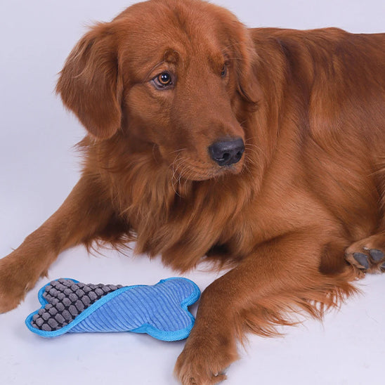 Jouet pour Chien en Forme d'Os  | Dog Toy