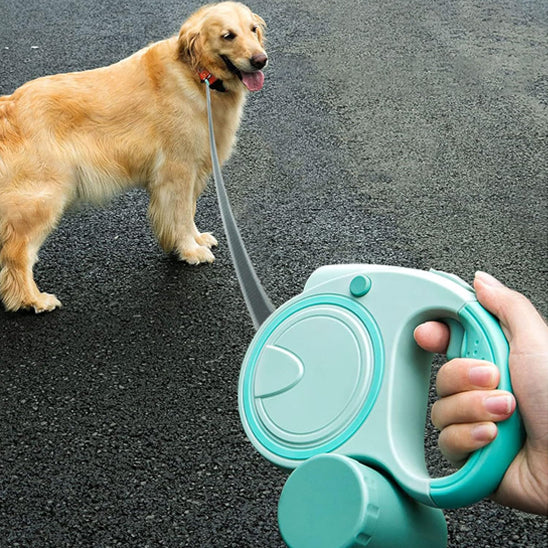 Laisse rétractable chien | topleasuredog