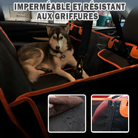 Protection Voiture Chien  | Car Travel