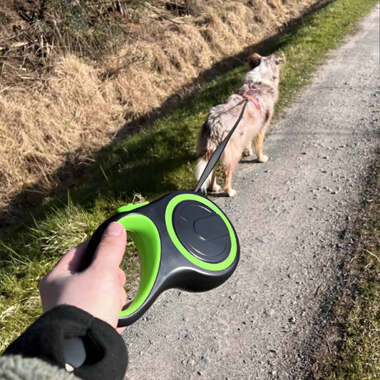 Laisse pour chien rétractable | topleasuredog