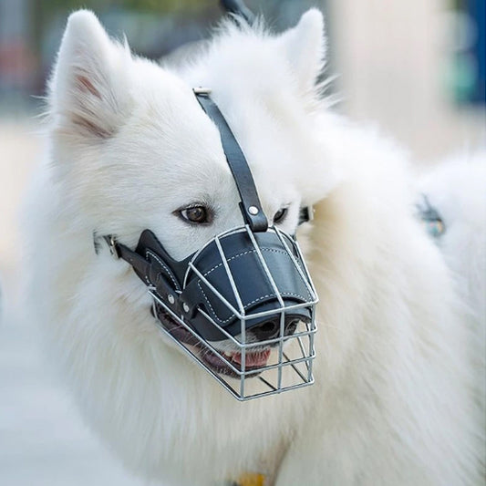 Muselière pour chien | topleasuredog