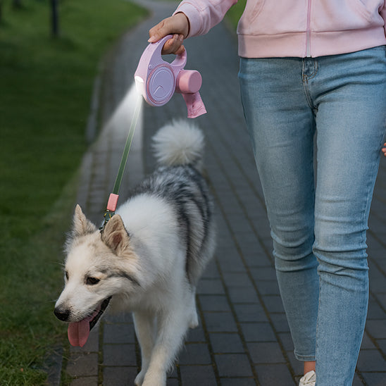 Laisse rétractable chien | topleasuredog