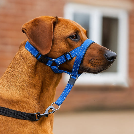 muselière pour chien nylon | topleasuredog