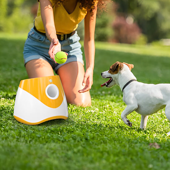 Lanceur de Balle pour Chien  | topleasuredog