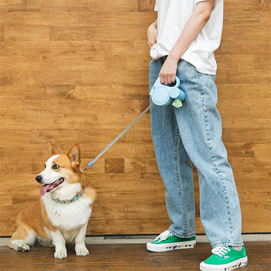 Laisse rétractable chien | topleasuredog