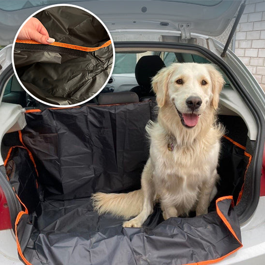 protection Chien Voiture  | car cover