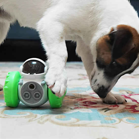 Jouet pour Chien Interactif  | robot ball