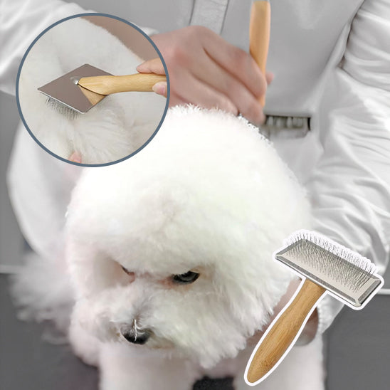 Brosse pour Chien en Inox  | stainless steel brush