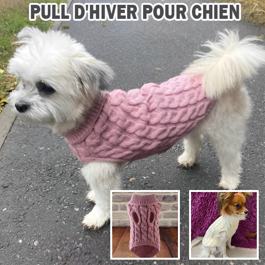 Pull pour Chien  | Bulldog Coat