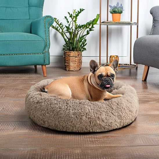 Coussin pour Chien Rond  | topleasuredog