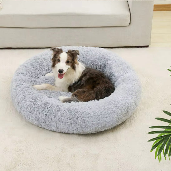 Coussin pour Chien Rond  | topleasuredog