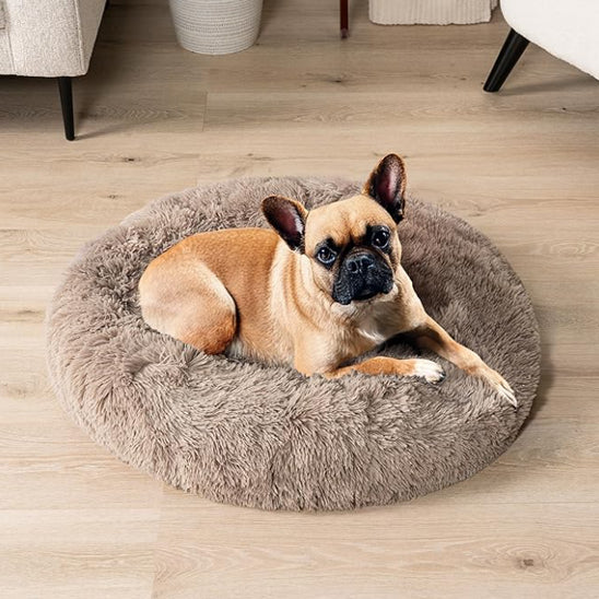 Coussin pour Chien Rond  | topleasuredog