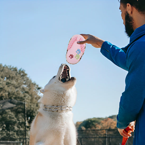 Jouet pour Chien | dog flip flop