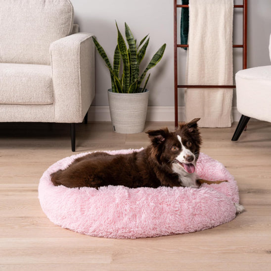 Coussin pour Chien Rond  | topleasuredog