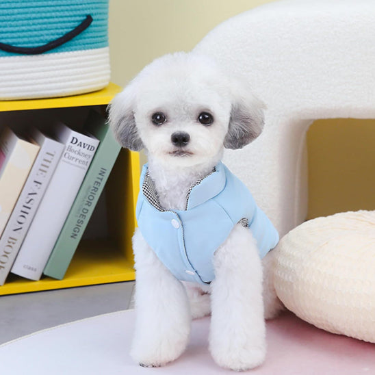 Manteau pour Chien d'Hiver Imperméable  |  AUP