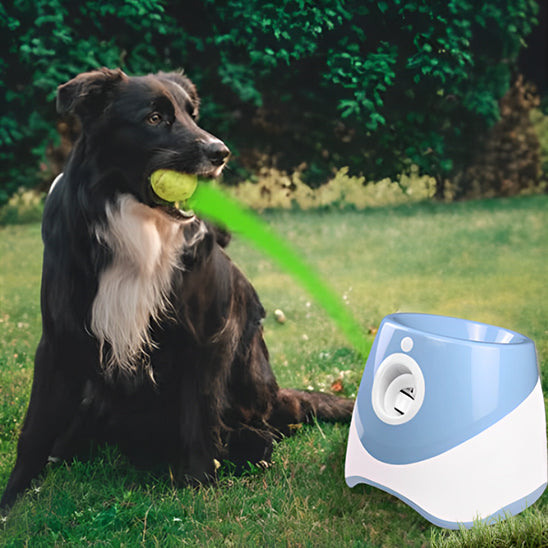 Lanceur de Balle pour Chien  | topleasuredog