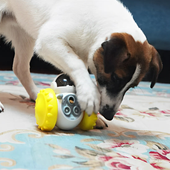 Jouet pour Chien Interactif  | robot ball